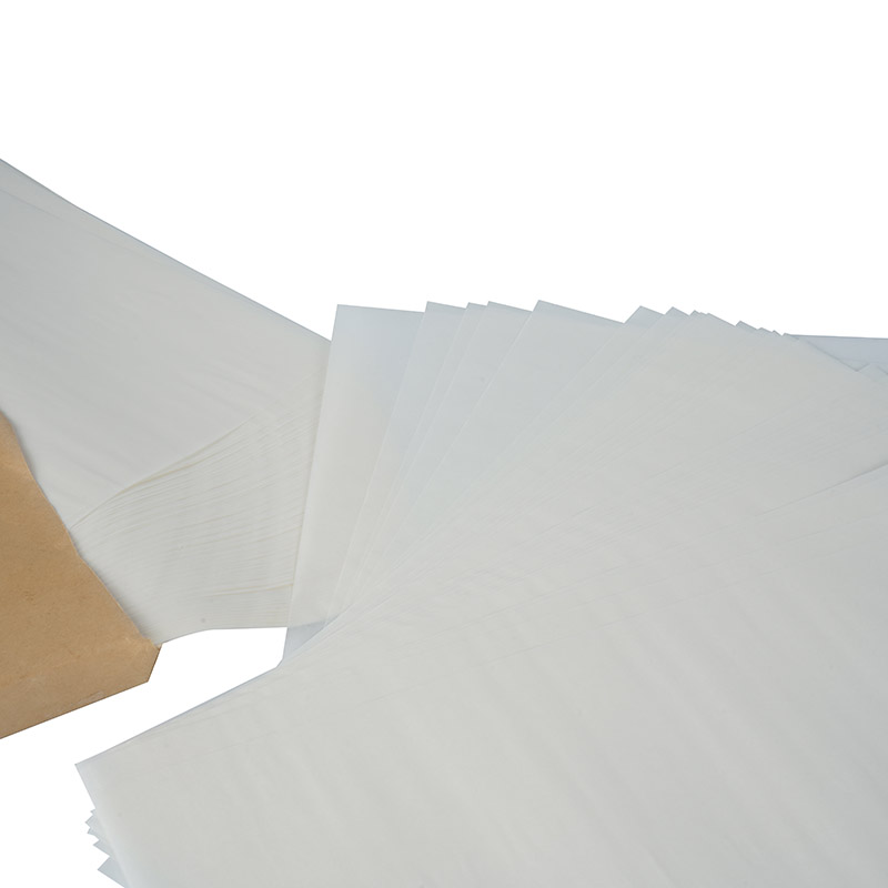 Pelapik kertas kapal pengangkut dulang udara